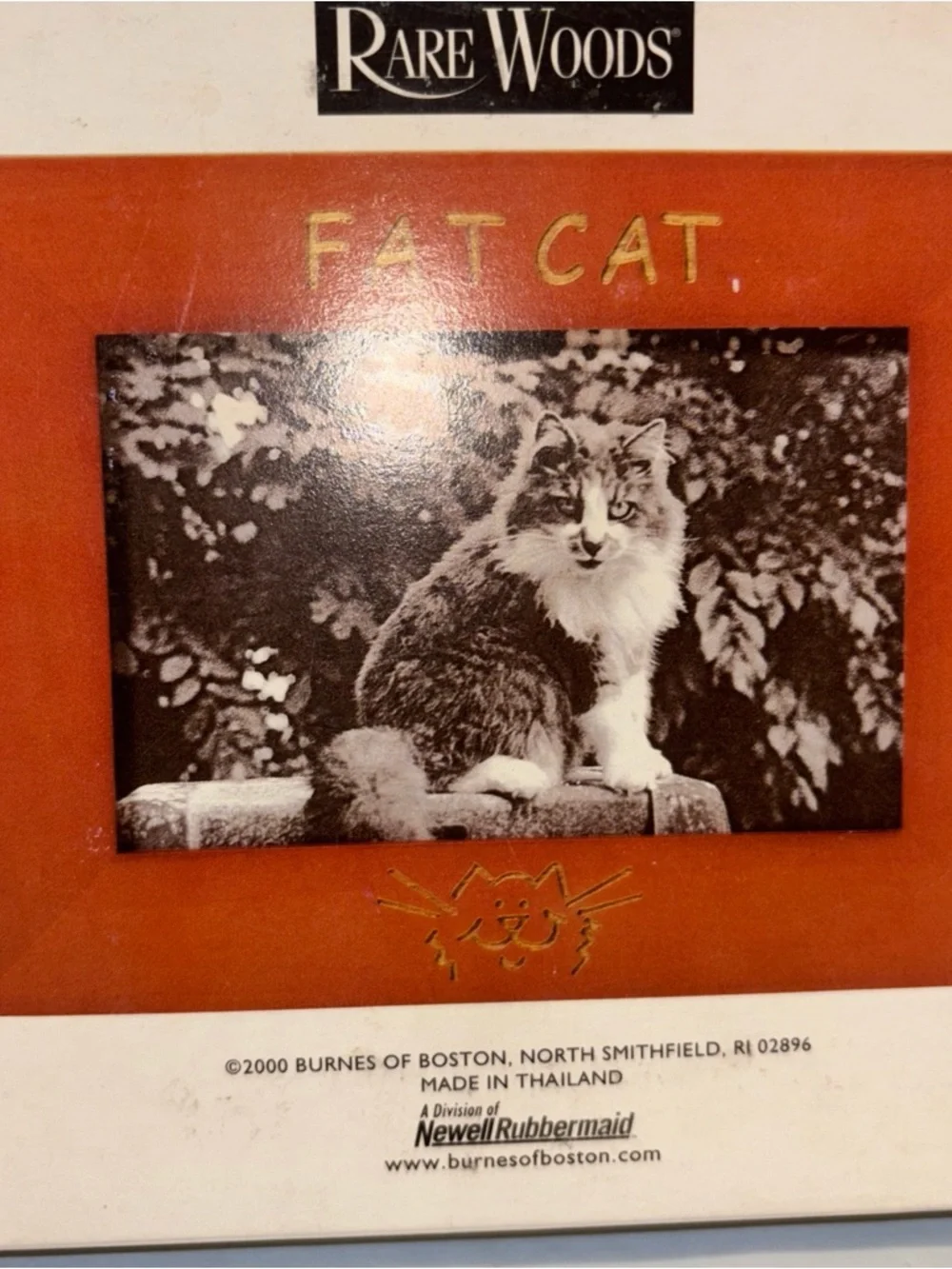 Rare Woods Picture Photo Frame Burnes of Boston Holds 4x6 Pic “Fat Cat”2000